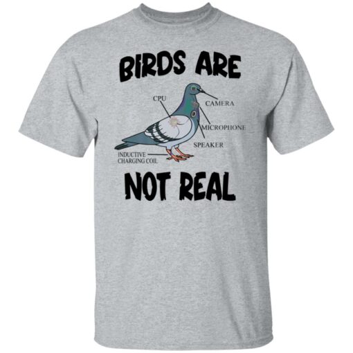 Birds are not real shirt from $19.95 - Thetrendytee.com